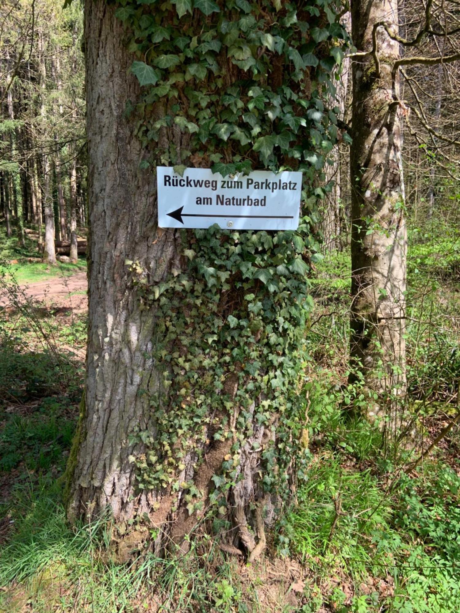 Appartement Sulzbachtal In Lahr, Naehe Europapark, Naehe Rulantica Lahr (Baden-Wurttemberg) Exterior foto